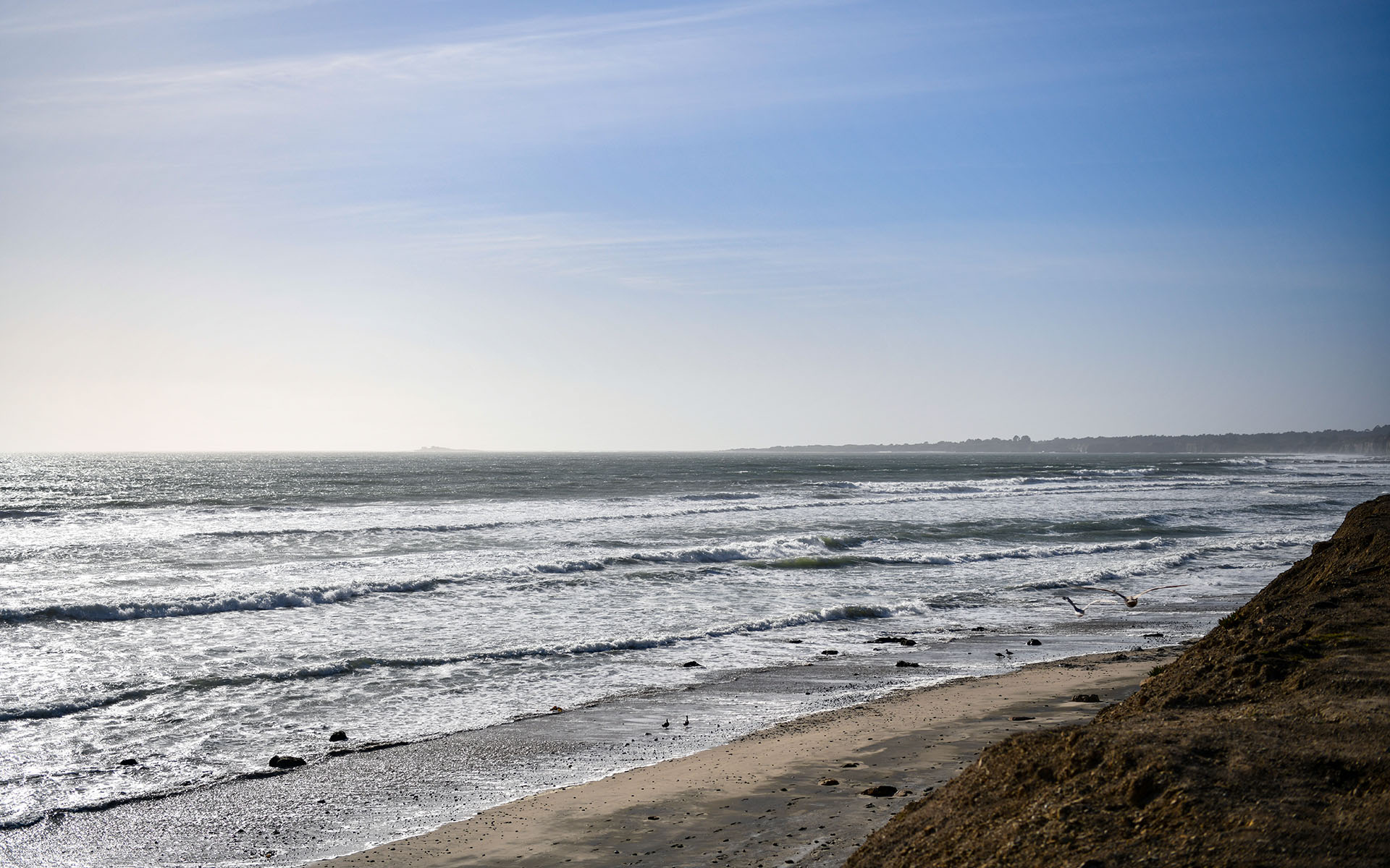 2022.04_Waddell-Beach_Big-Basin-Redwoods-State-Park_California_USA_09