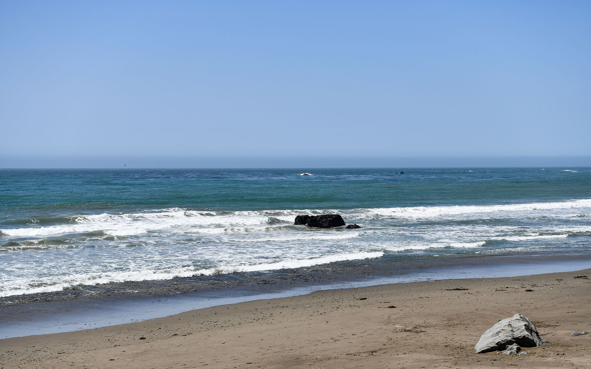 2022.04_William-Randolf-Hearst-Memorial-State-Beach_California_USA_05