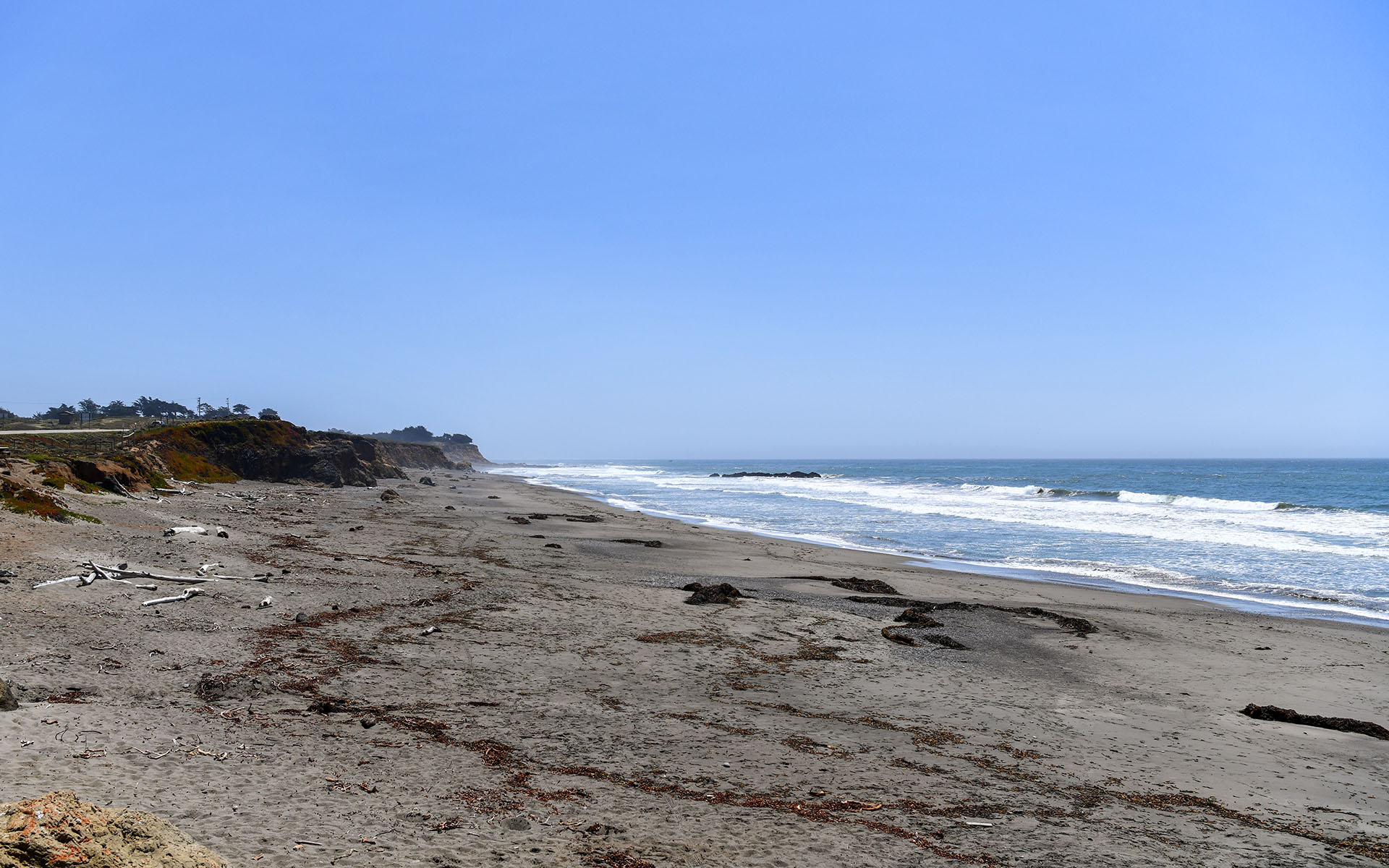 2022.04_William-Randolf-Hearst-Memorial-State-Beach_California_USA_09