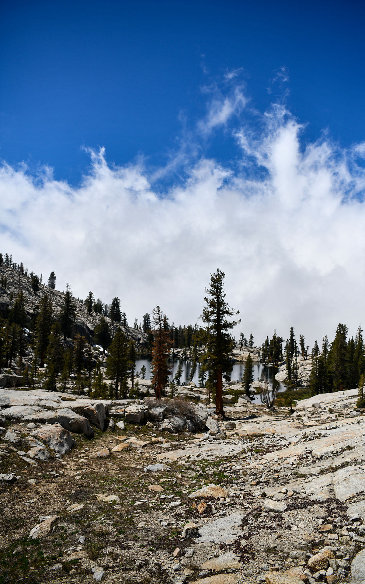 2022.05_Aster-Lake_Sequoia-%26-Kings-Canyon-National-Park_California_USA_01