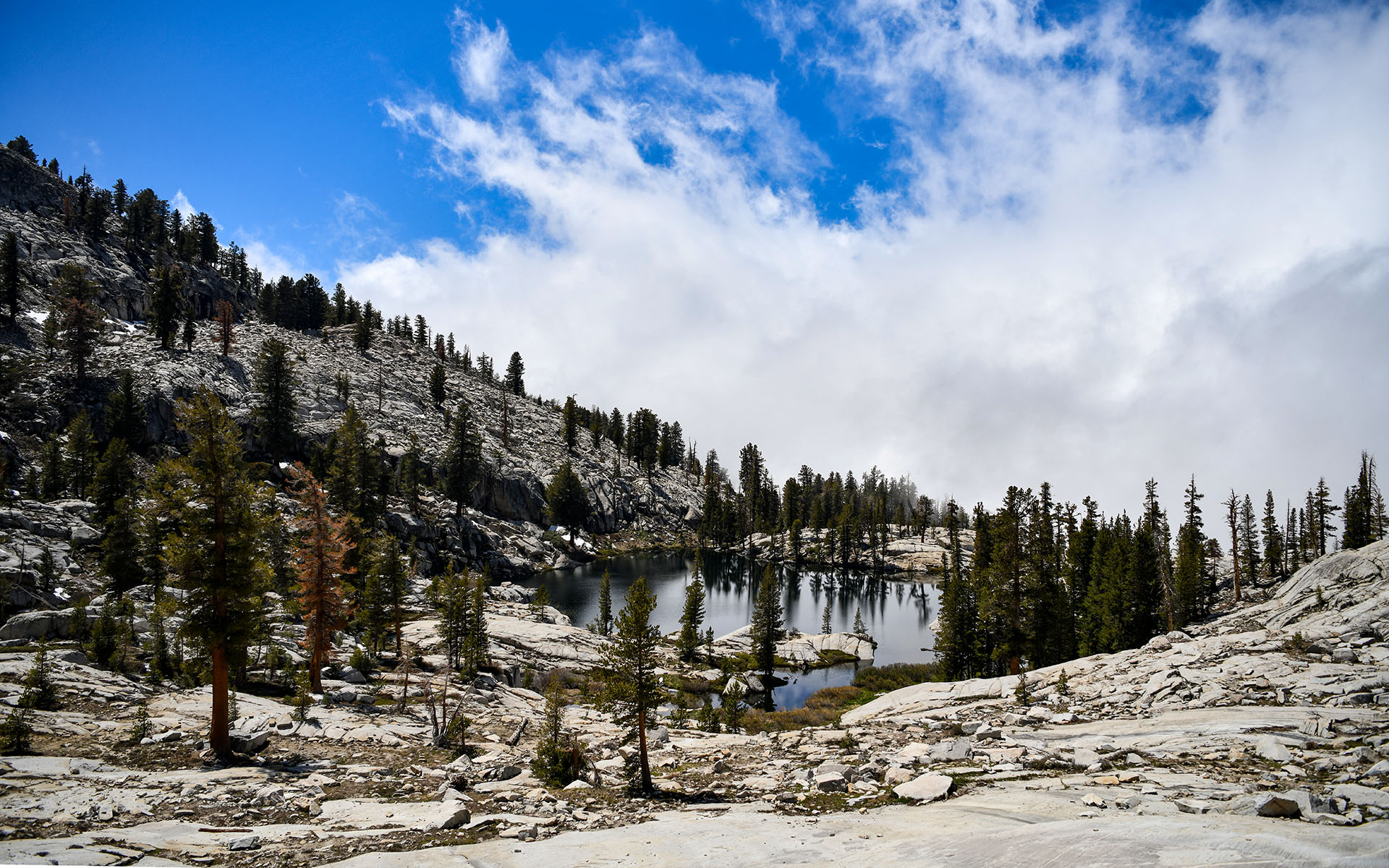 2022.05_Aster-Lake_Sequoia-%26-Kings-Canyon-National-Park_California_USA_02
