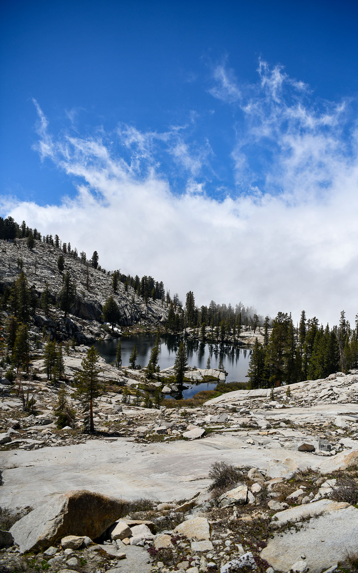 2022.05_Aster-Lake_Sequoia-%26-Kings-Canyon-National-Park_California_USA_03