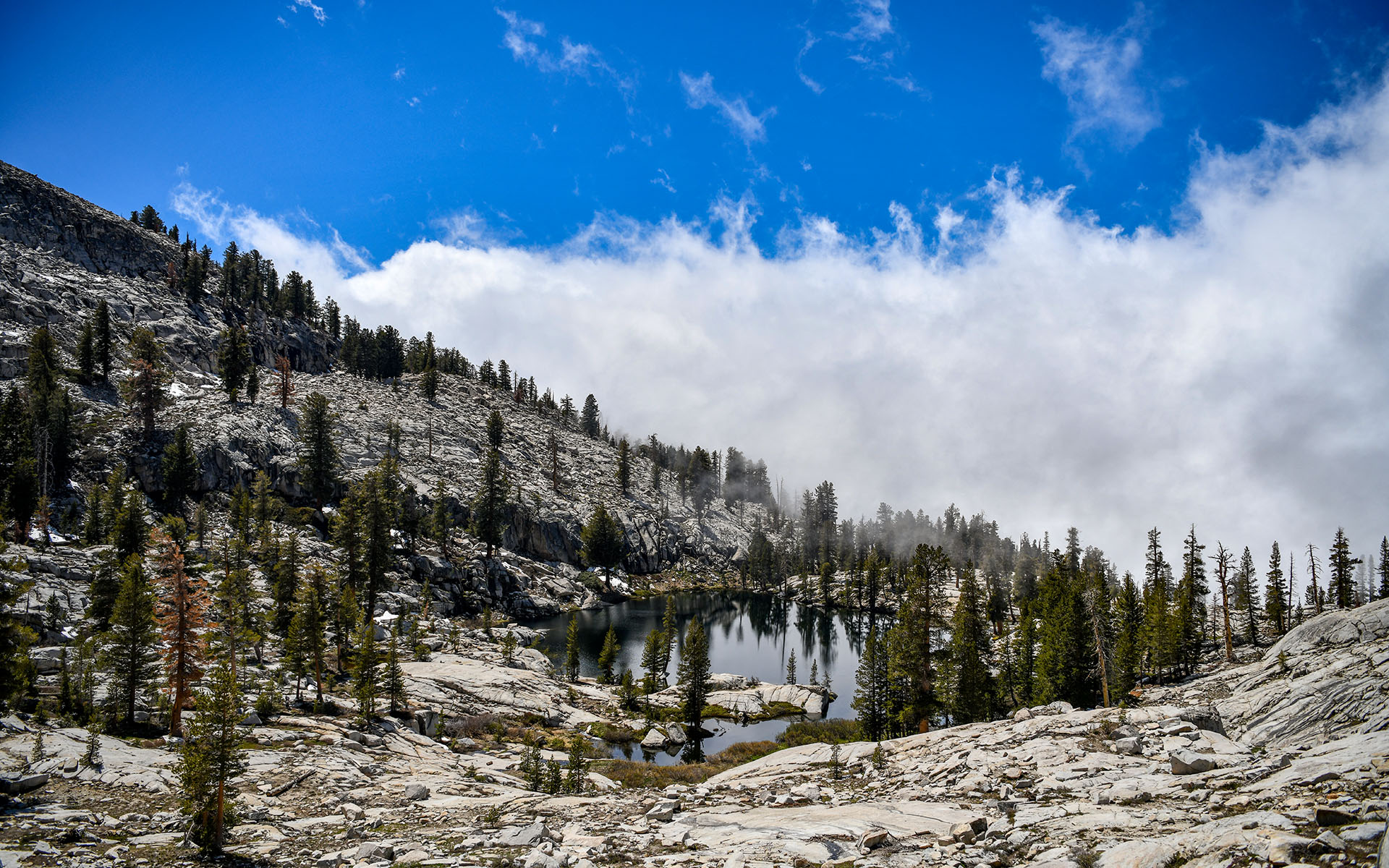 2022.05_Aster-Lake_Sequoia-%26-Kings-Canyon-National-Park_California_USA_04