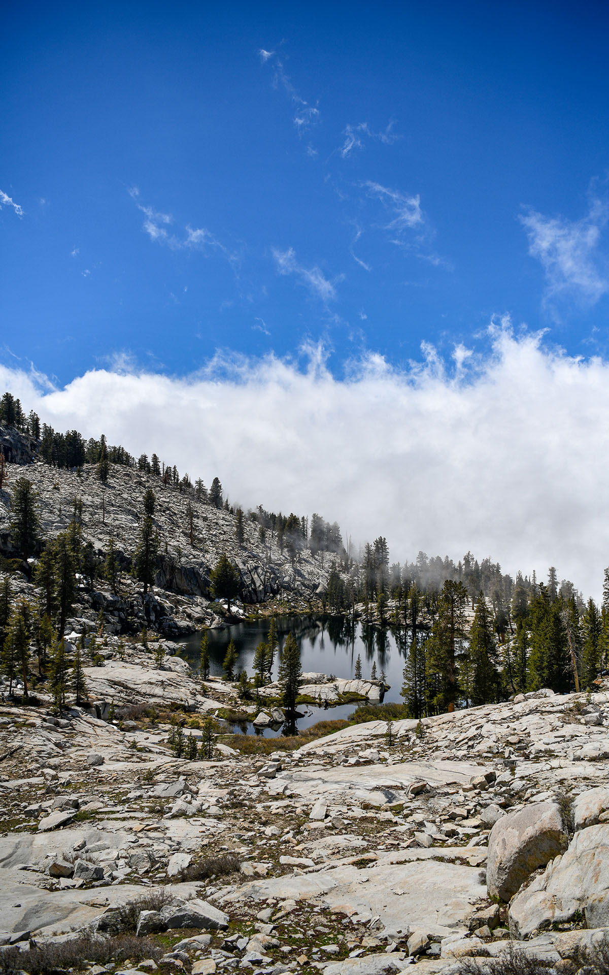 2022.05_Aster-Lake_Sequoia-%26-Kings-Canyon-National-Park_California_USA_05