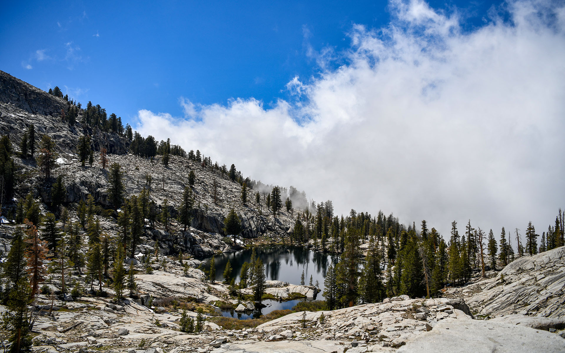 2022.05_Aster-Lake_Sequoia-%26-Kings-Canyon-National-Park_California_USA_06