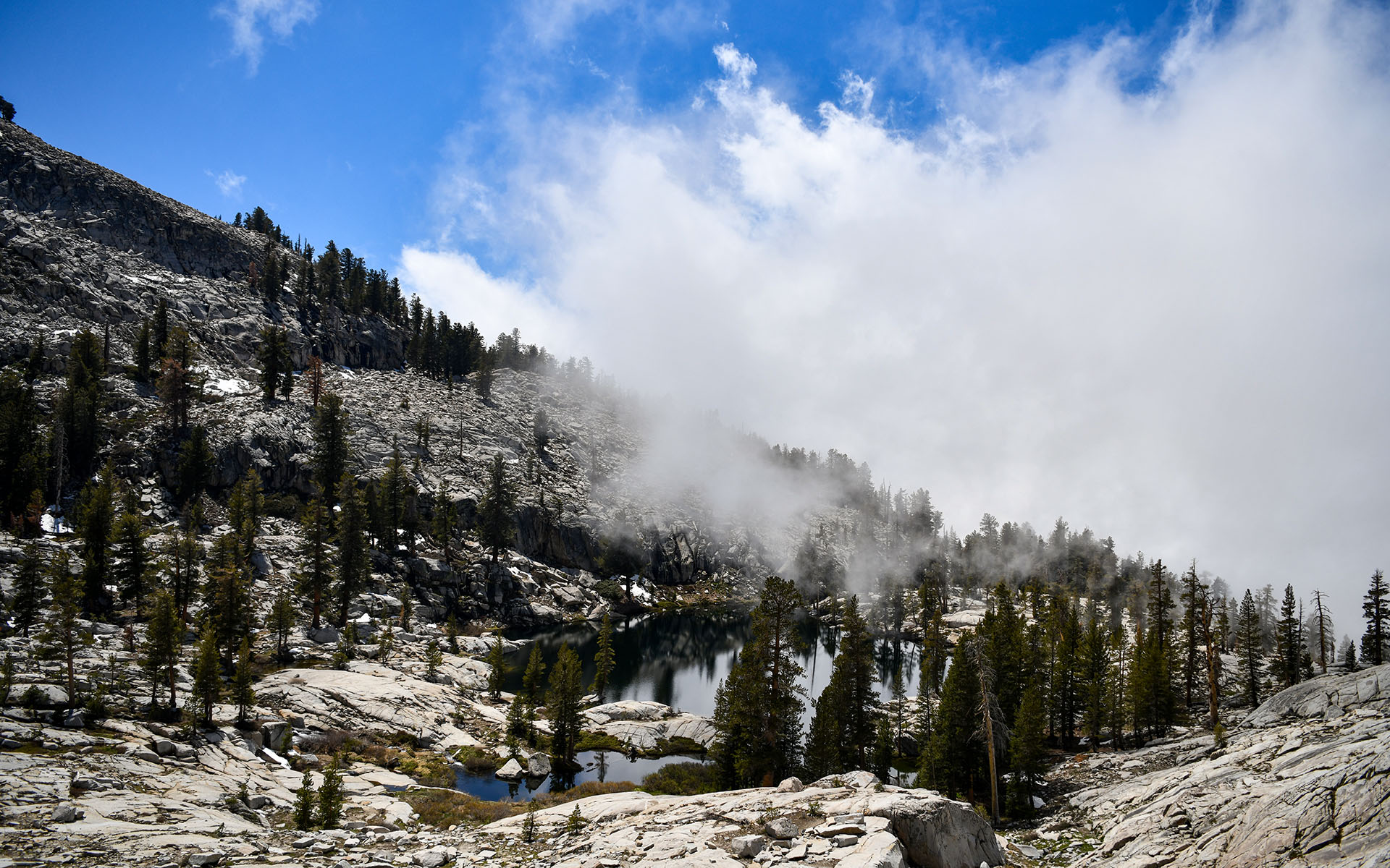 2022.05_Aster-Lake_Sequoia-%26-Kings-Canyon-National-Park_California_USA_07