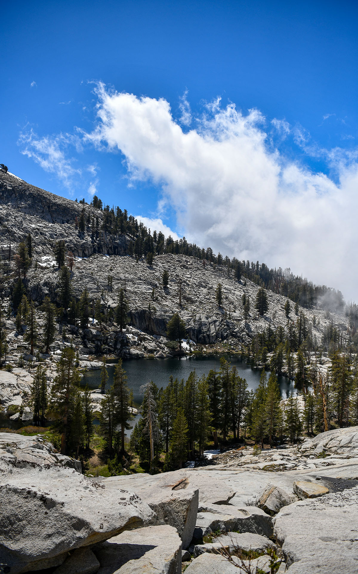 2022.05_Aster-Lake_Sequoia-%26-Kings-Canyon-National-Park_California_USA_09