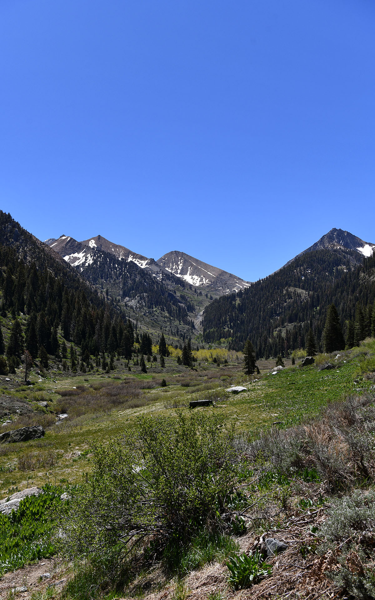 2022.05_Mineral-King-Valley_Mineral-King_Sequoia-%26-Kings-Canyon-National-Park_California_USA_01