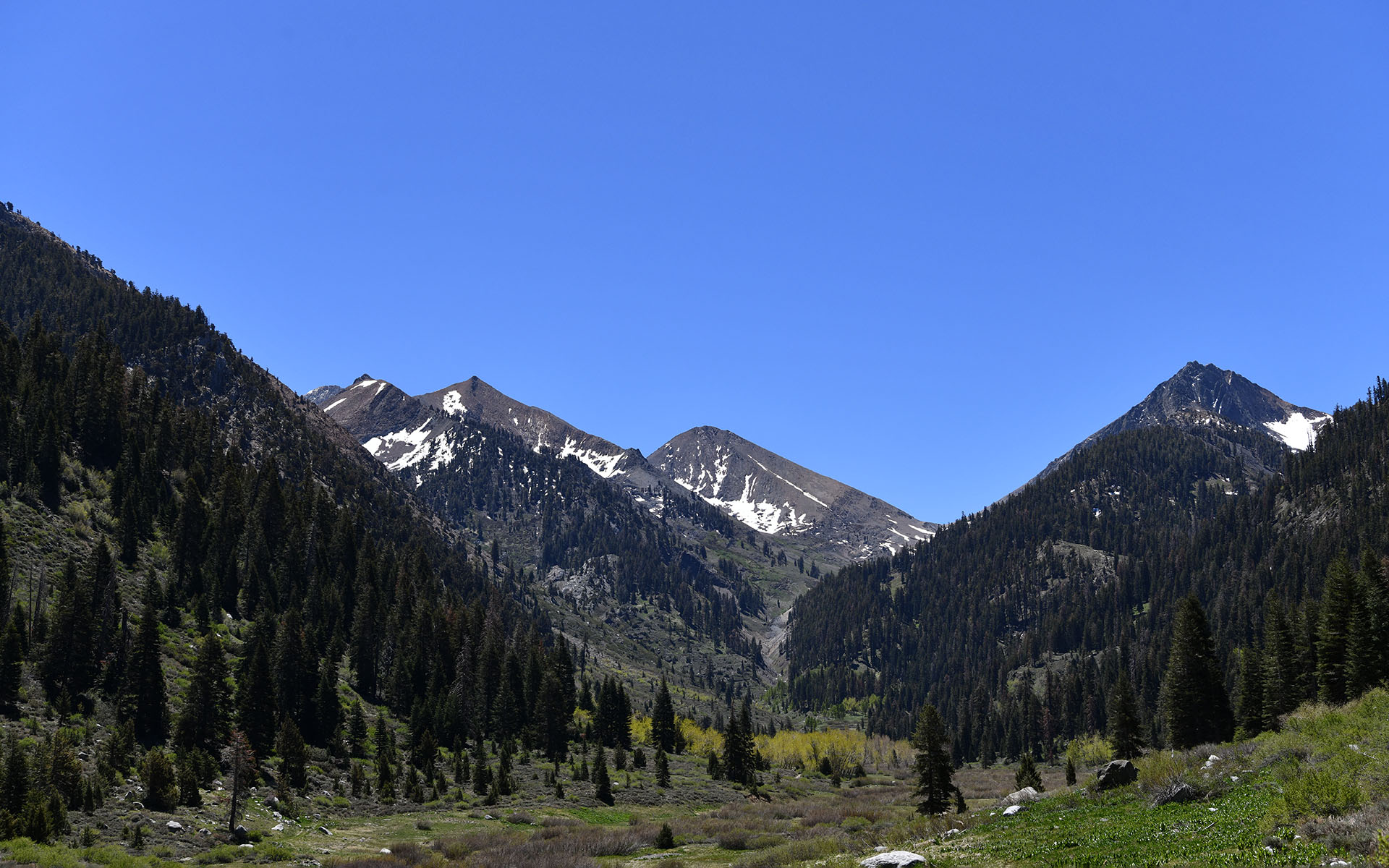 2022.05_Mineral-King-Valley_Mineral-King_Sequoia-%26-Kings-Canyon-National-Park_California_USA_03