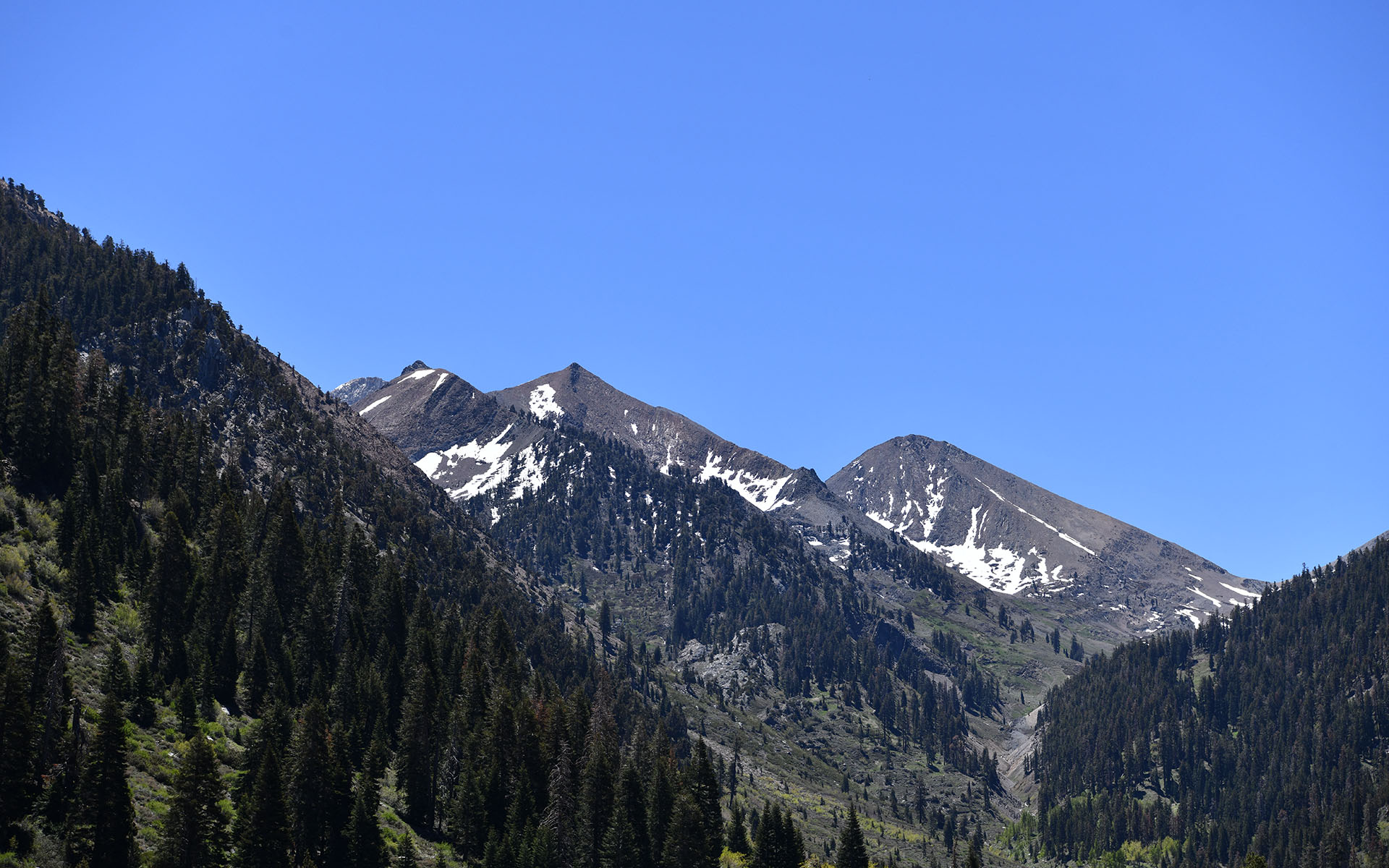 2022.05_Mineral-King-Valley_Mineral-King_Sequoia-%26-Kings-Canyon-National-Park_California_USA_04