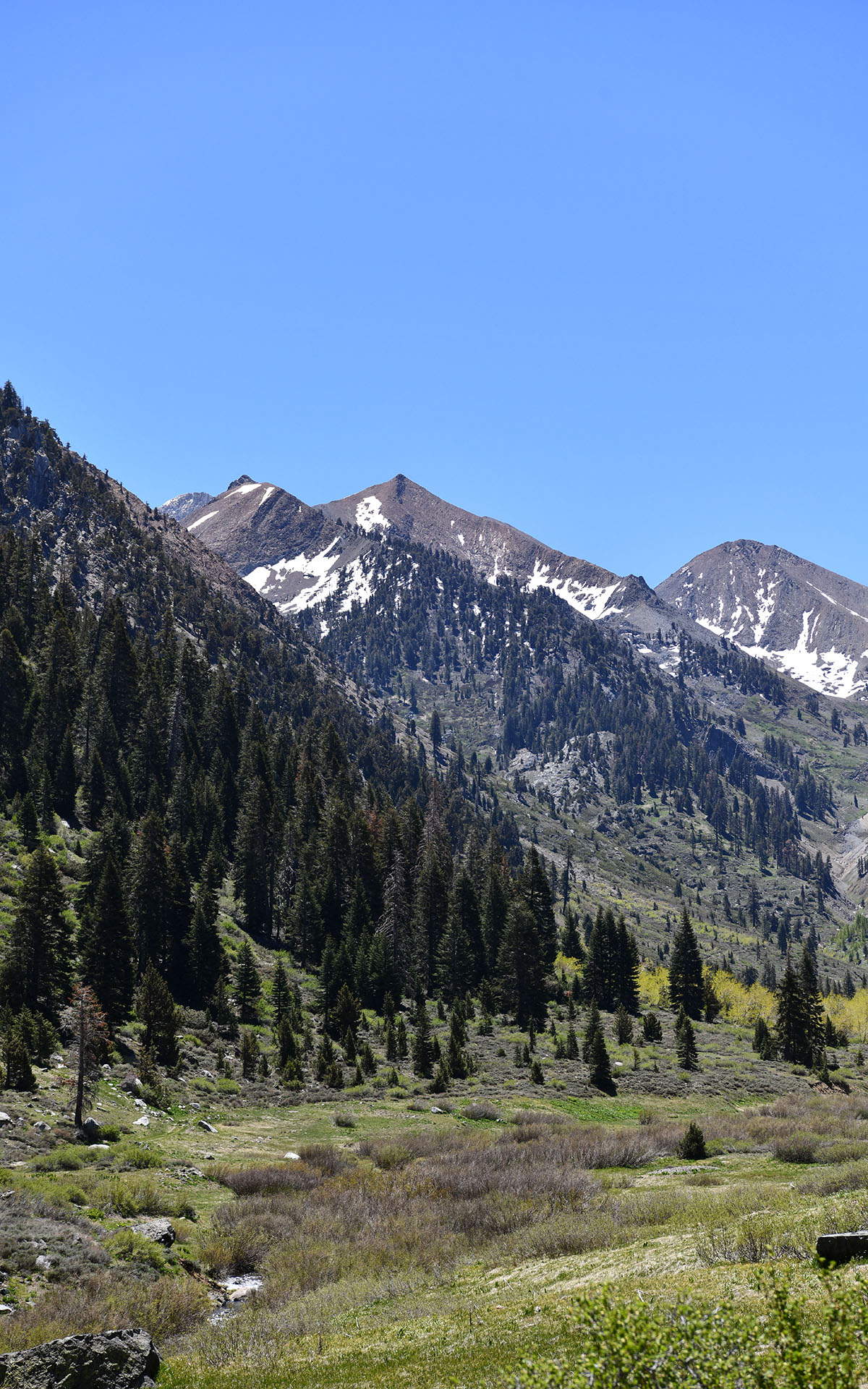 2022.05_Mineral-King-Valley_Mineral-King_Sequoia-%26-Kings-Canyon-National-Park_California_USA_05