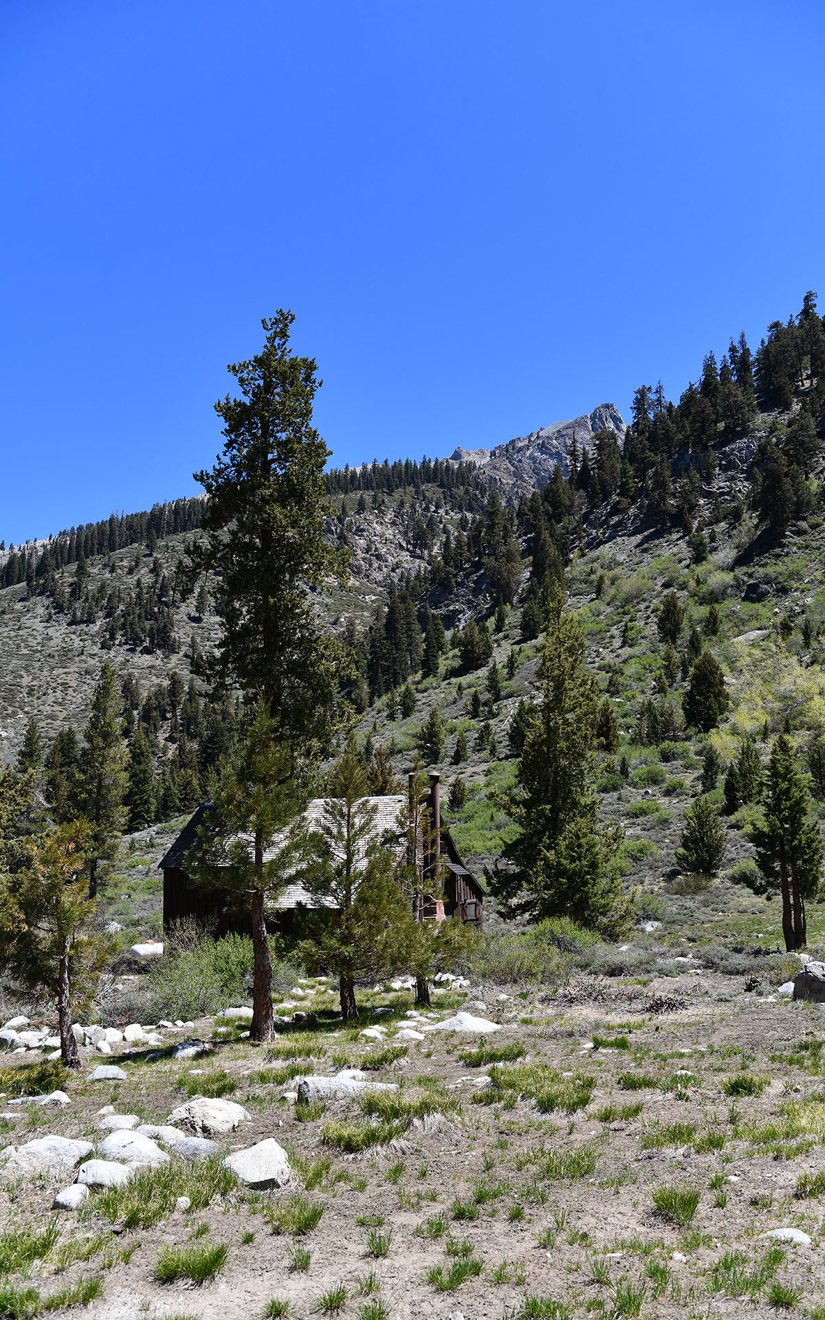 2022.05_Mineral-King-Valley_Mineral-King_Sequoia-%26-Kings-Canyon-National-Park_California_USA_07
