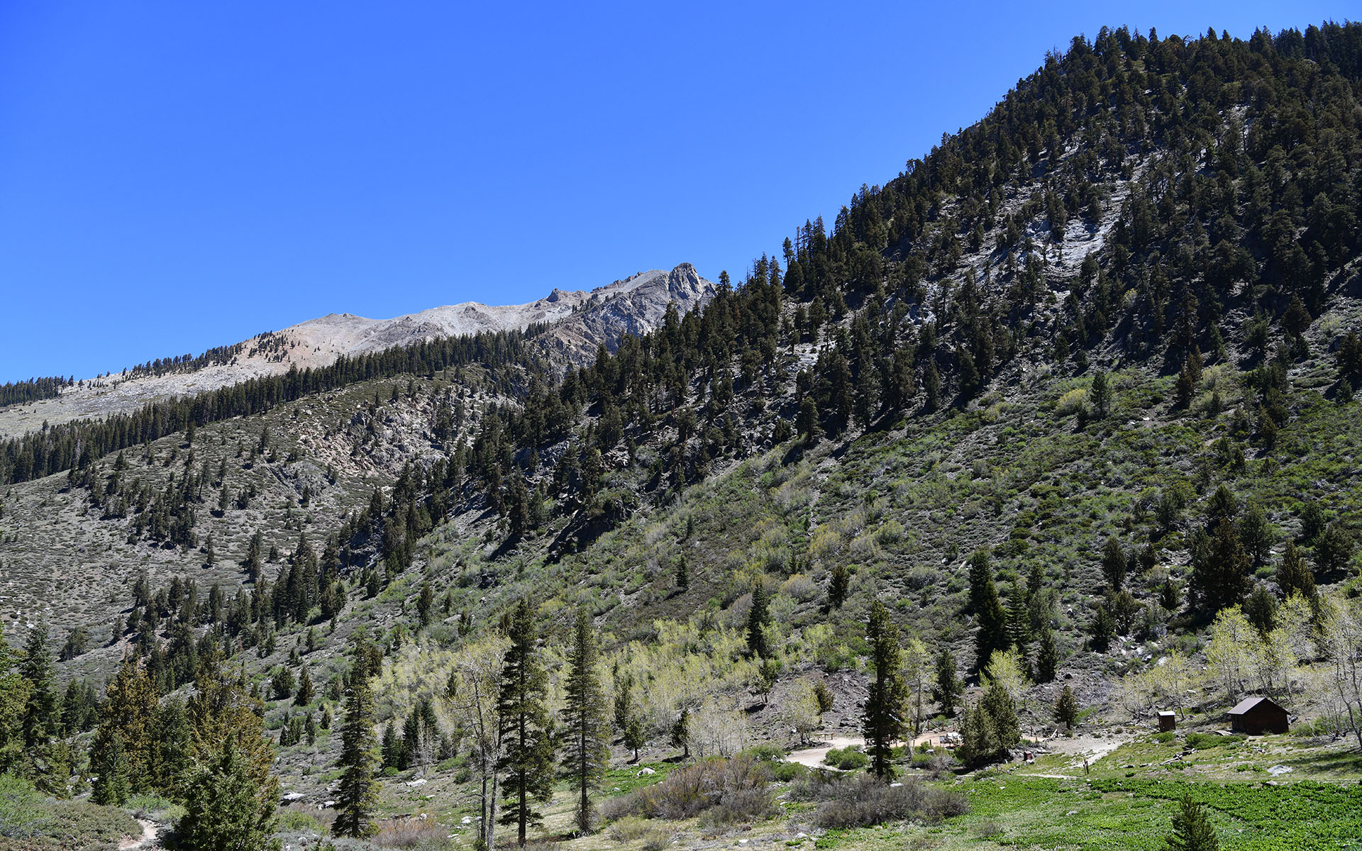 2022.05_Mineral-King-Valley_Mineral-King_Sequoia-%26-Kings-Canyon-National-Park_California_USA_08