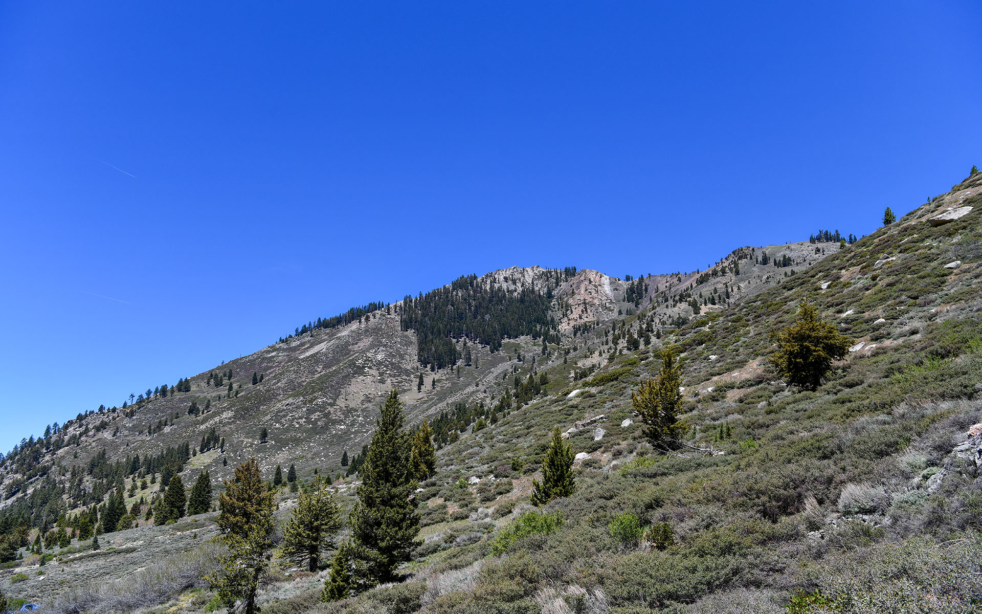 2022.05_Mineral-King-Valley_Mineral-King_Sequoia-%26-Kings-Canyon-National-Park_California_USA_09