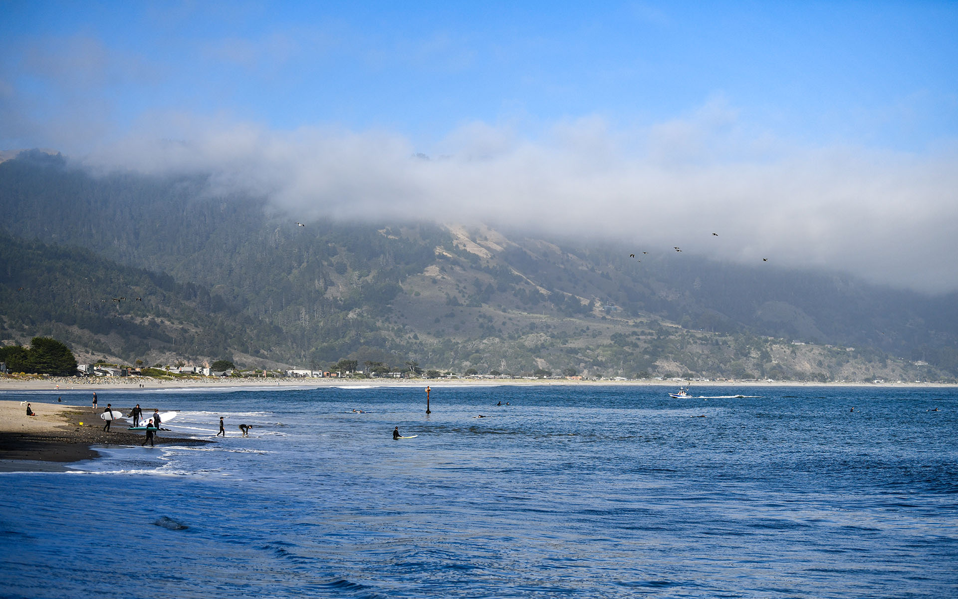 2022.06_Bolinas-Beach_Bolinas_California_USA_01