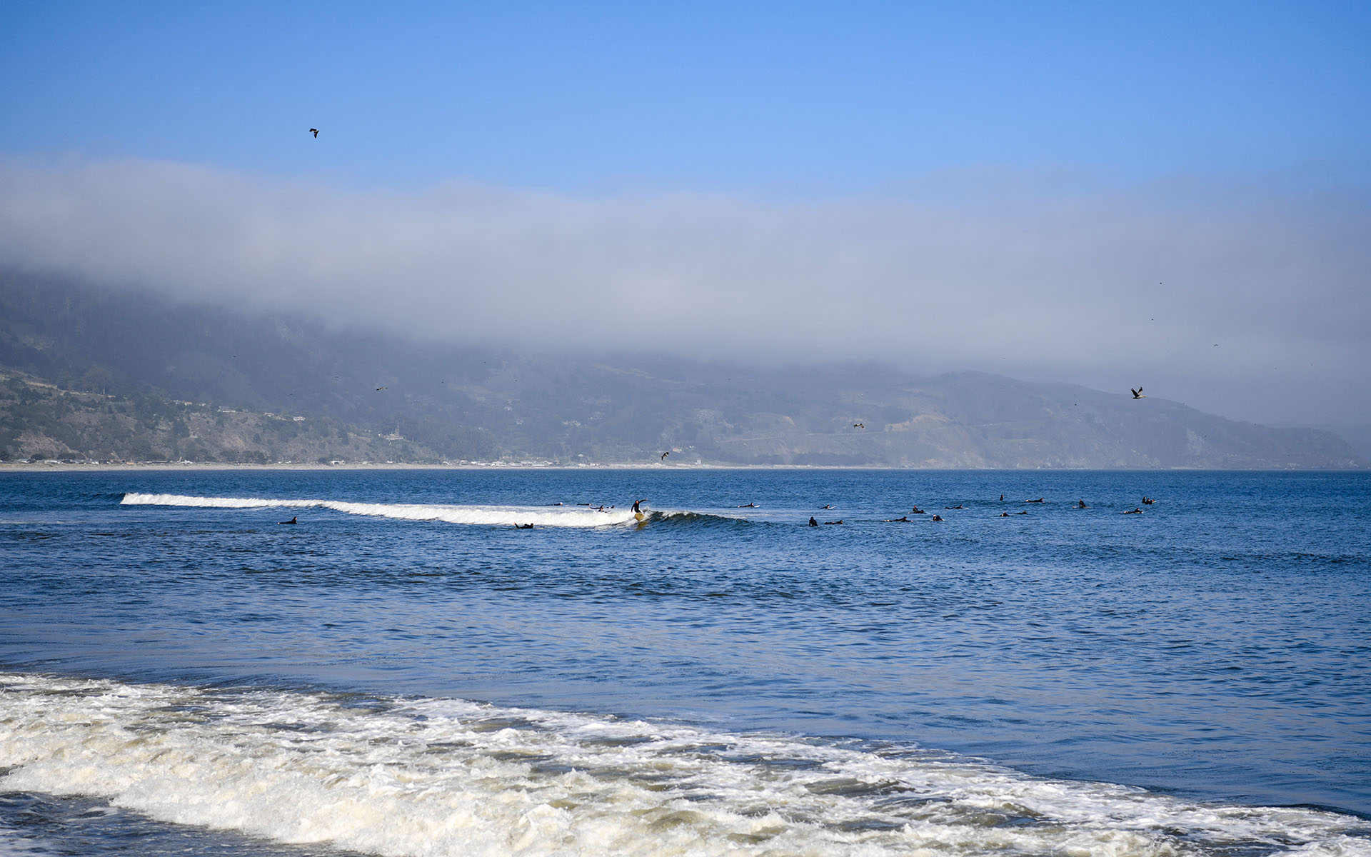 2022.06_Bolinas-Beach_Bolinas_California_USA_03