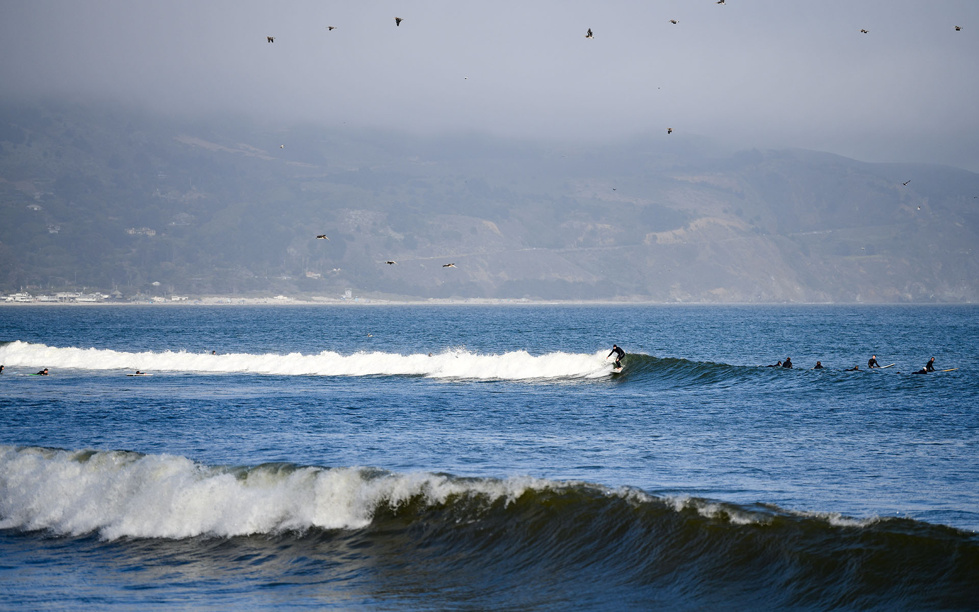 2022.06_Bolinas-Beach_Bolinas_California_USA_08