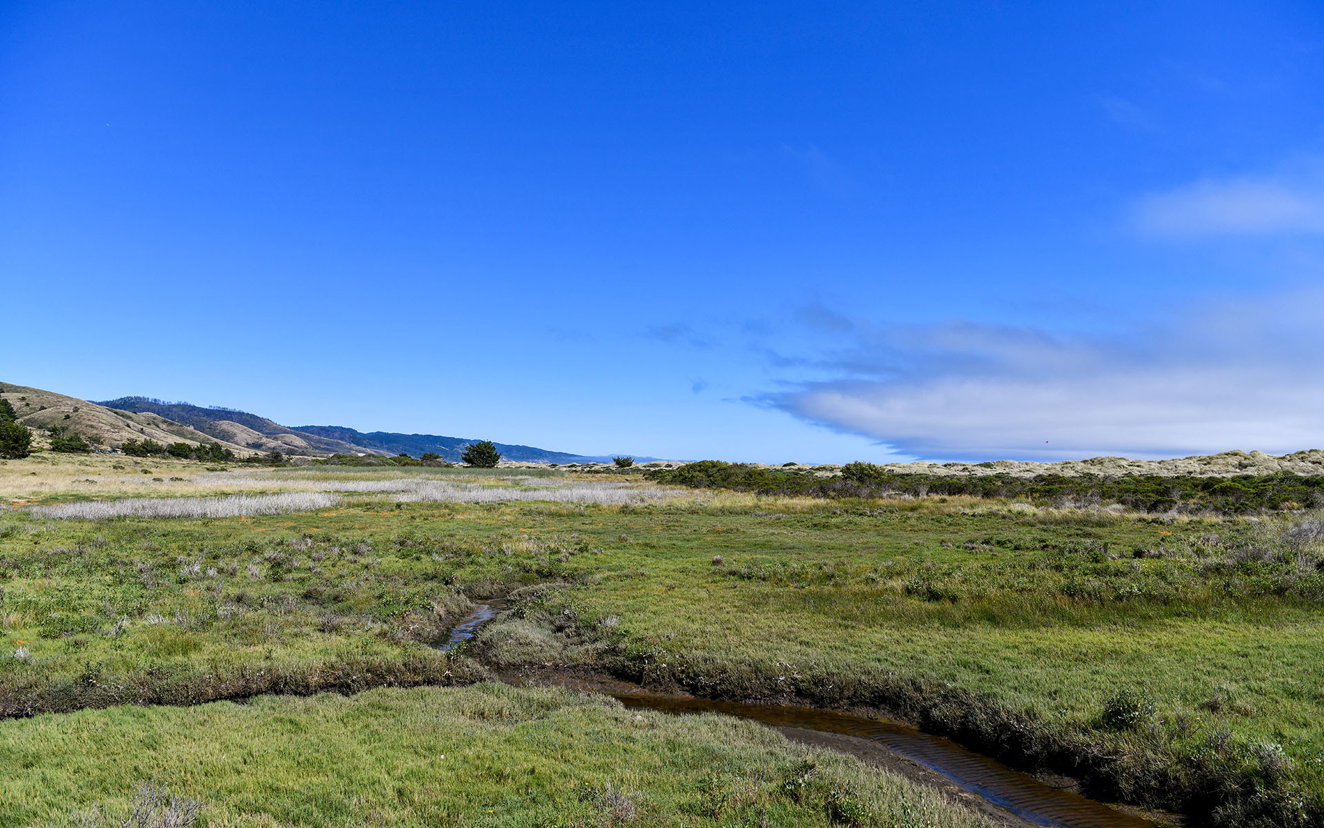 2022.06_Limantour-Beach_Point-Reyes-National-Seashore_California_USA_01