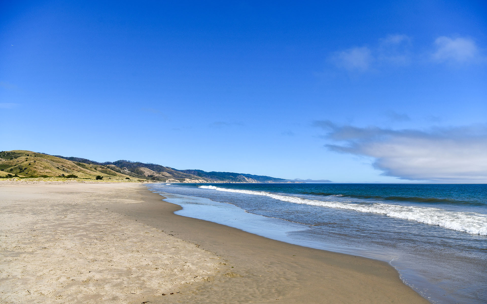 2022.06_Limantour-Beach_Point-Reyes-National-Seashore_California_USA_03