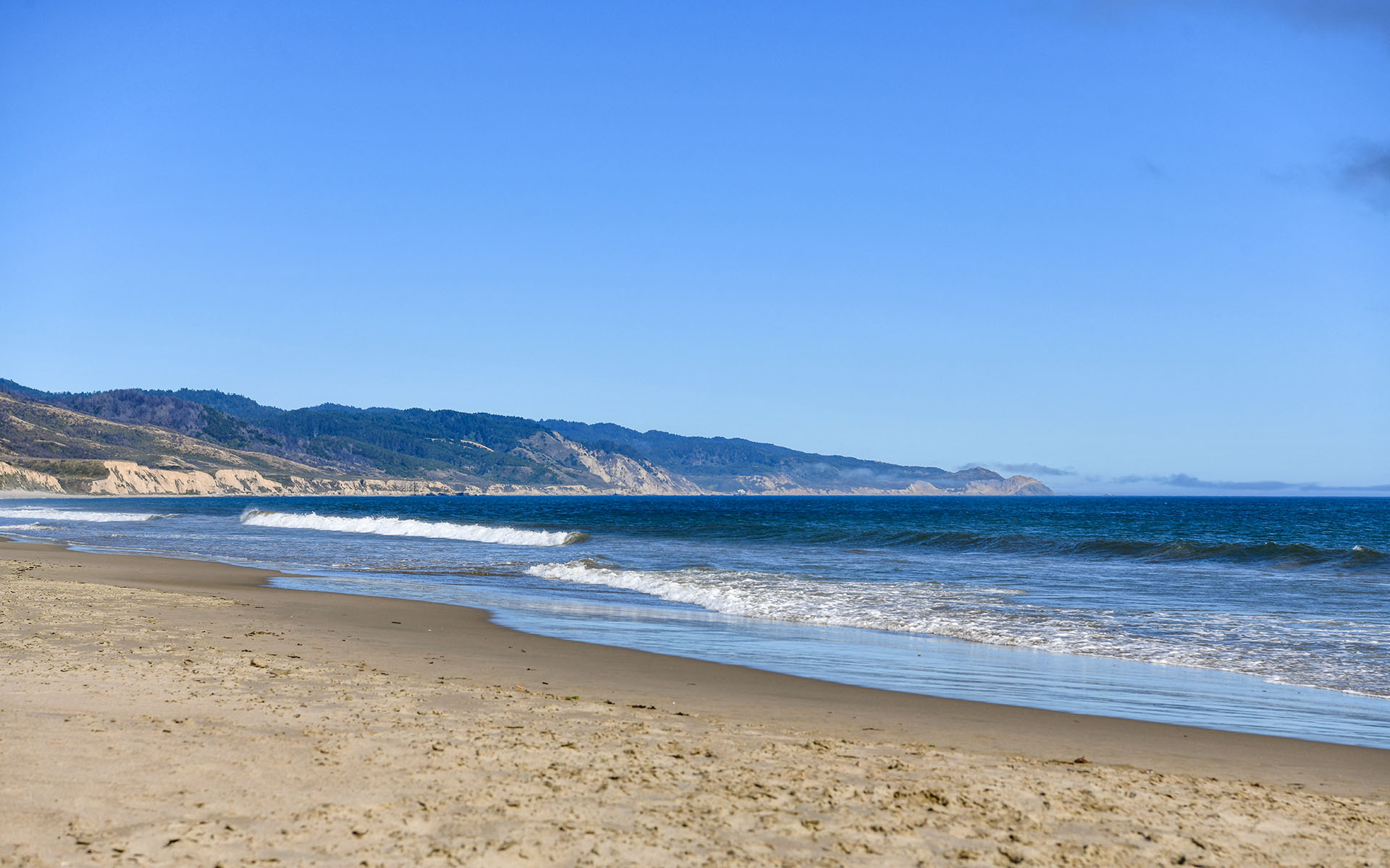 2022.06_Limantour-Beach_Point-Reyes-National-Seashore_California_USA_05