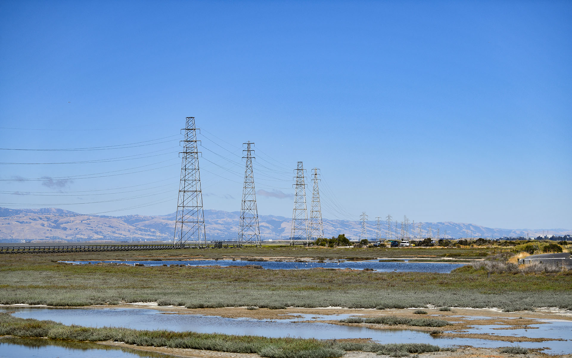 2022.07_Baylands-Nature-Preserve_Palo-Alto_California_USA_02