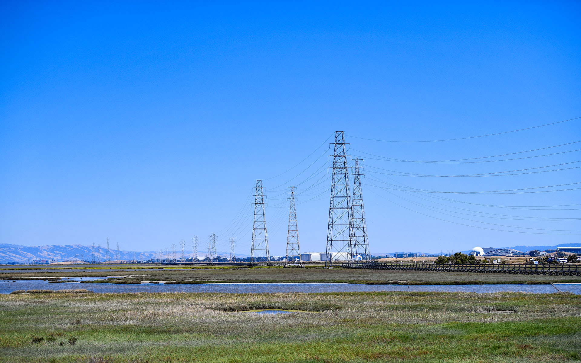 2022.07_Baylands-Nature-Preserve_Palo-Alto_California_USA_03