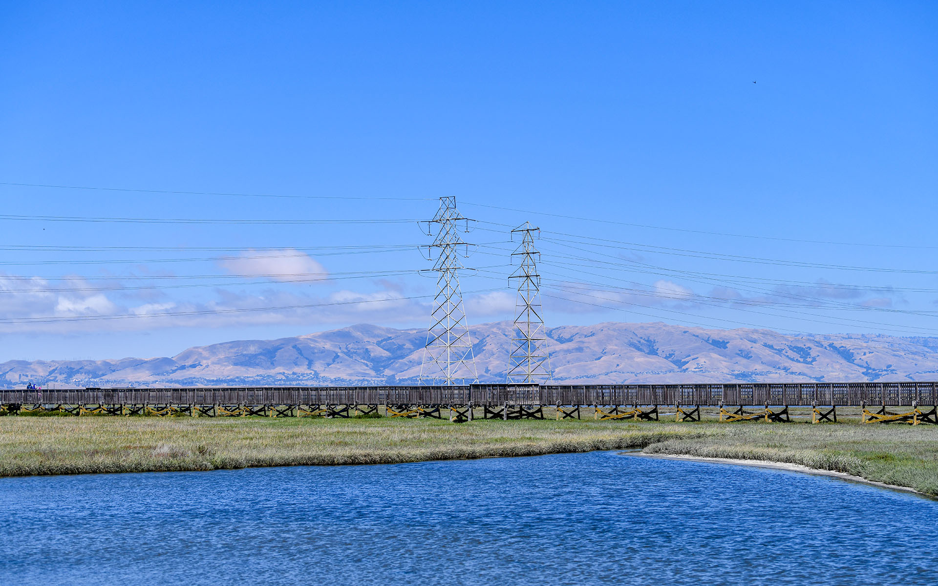 2022.07_Baylands-Nature-Preserve_Palo-Alto_California_USA_04