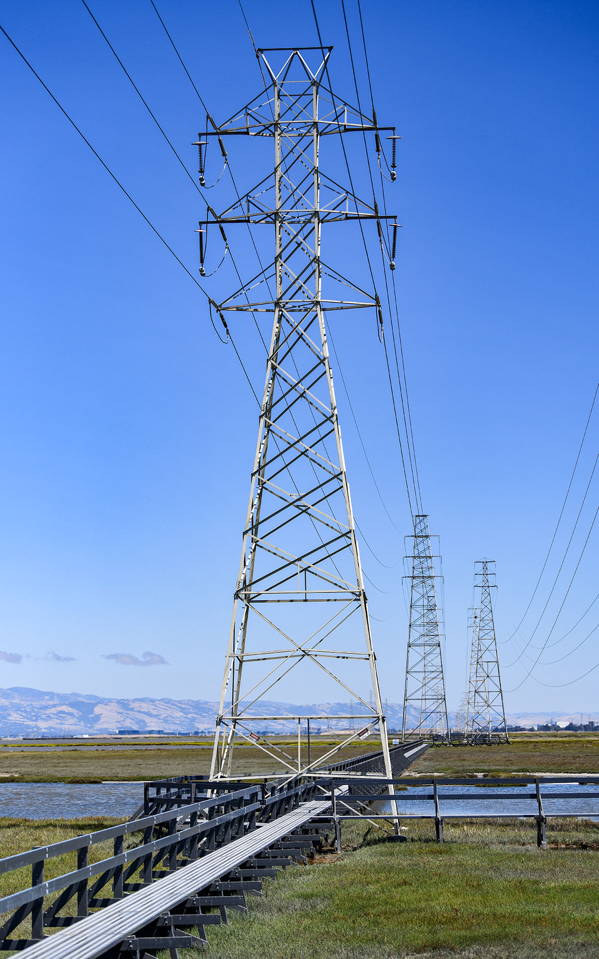 2022.07_Baylands-Nature-Preserve_Palo-Alto_California_USA_06