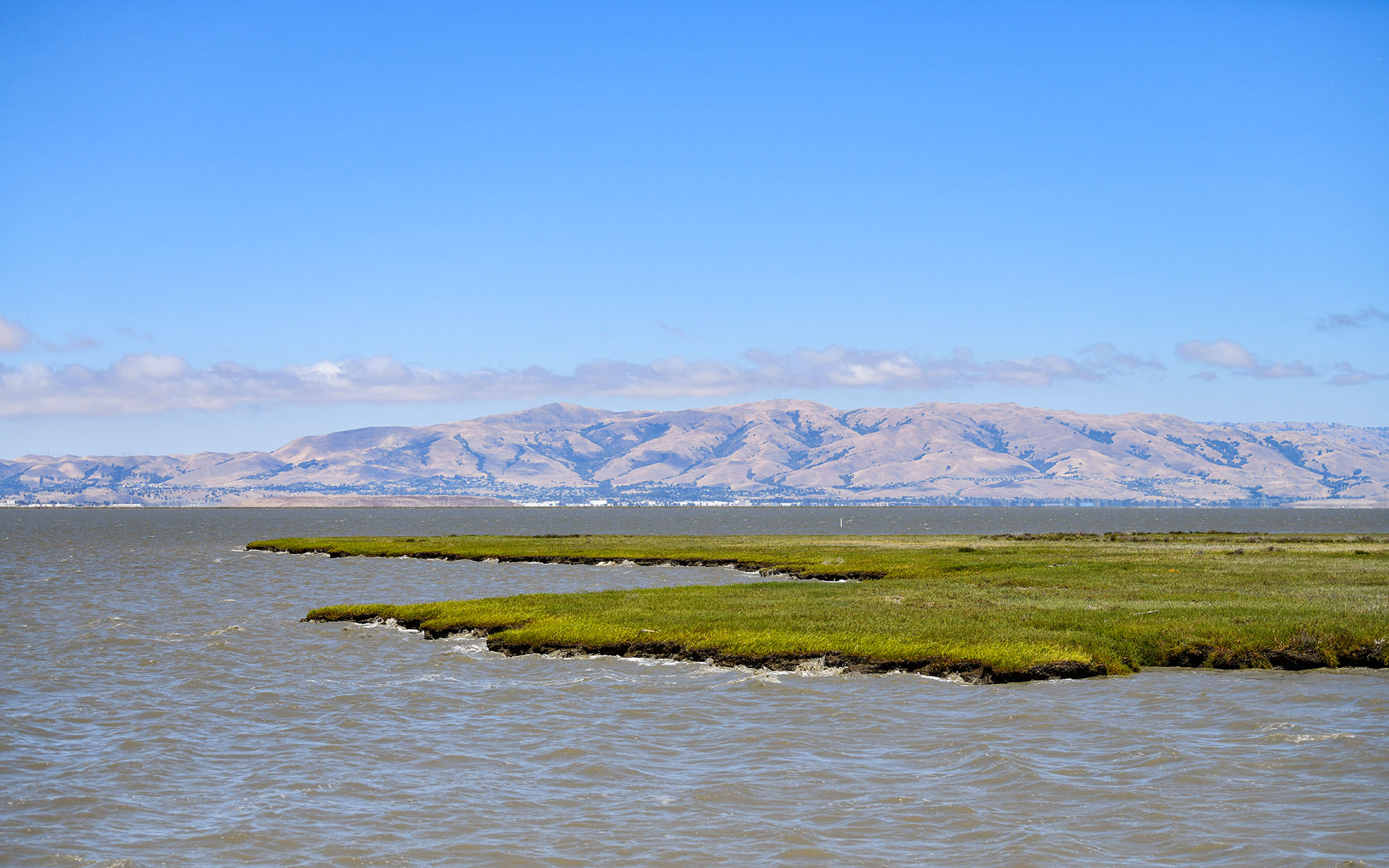 2022.07_Baylands-Nature-Preserve_Palo-Alto_California_USA_07
