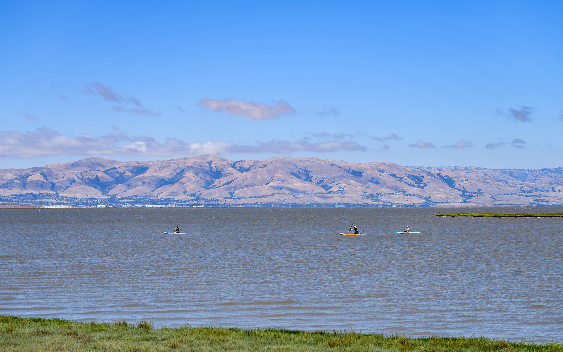 2022.07_Baylands-Nature-Preserve_Palo-Alto_California_USA_08