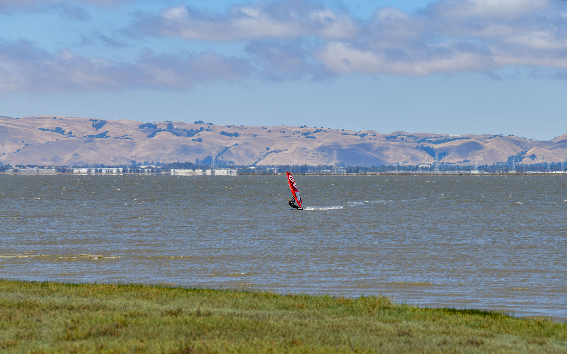 2022.07_Baylands-Nature-Preserve_Palo-Alto_California_USA_09