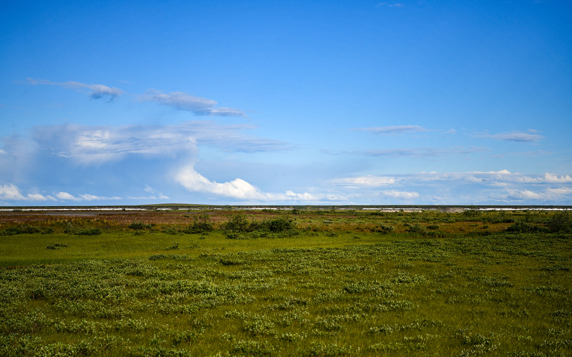 2022.07_Franklin-Bluffs_Dalton-Highway_Alaska_USA_01