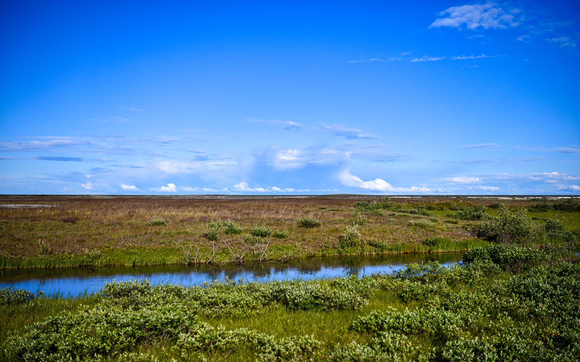 2022.07_Franklin-Bluffs_Dalton-Highway_Alaska_USA_02