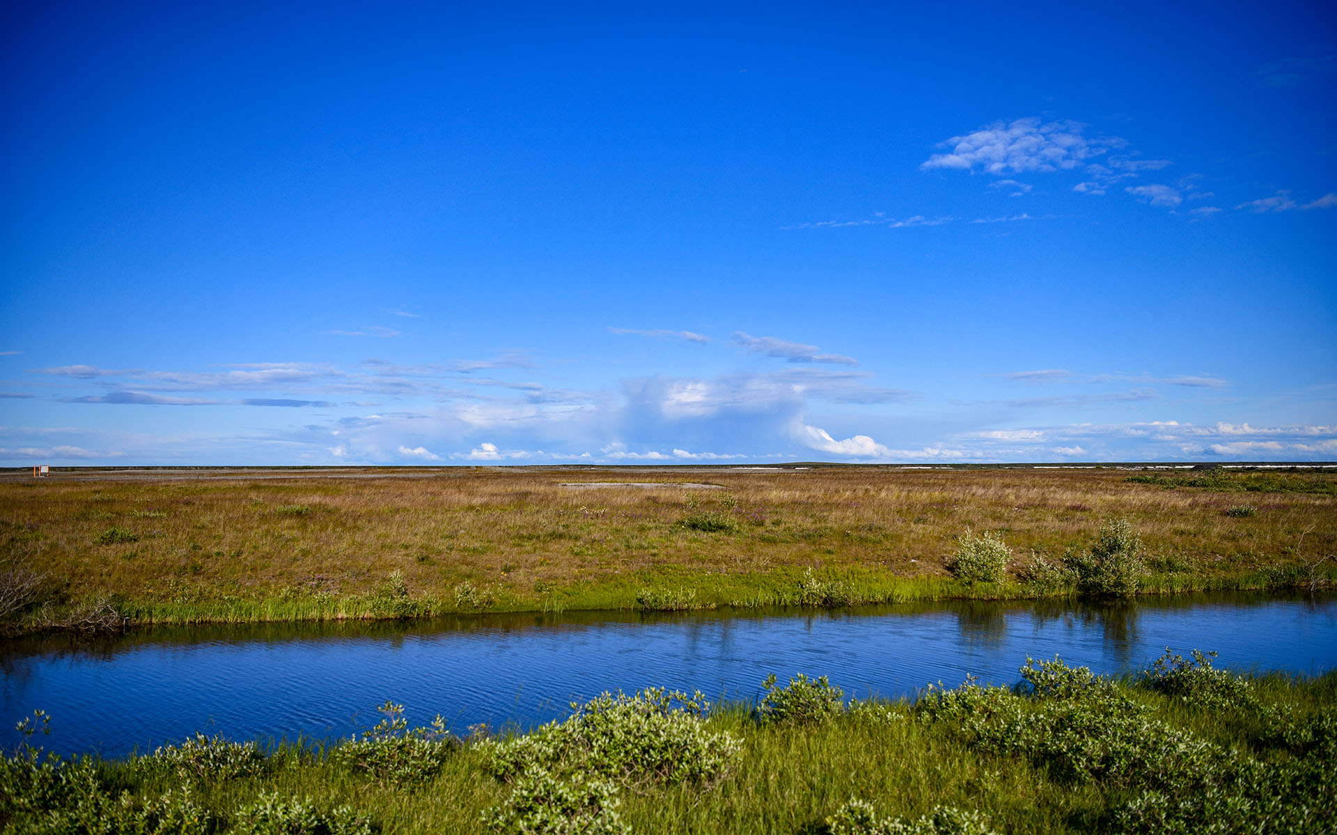2022.07_Franklin-Bluffs_Dalton-Highway_Alaska_USA_06