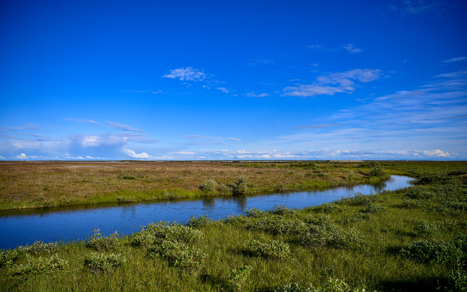 2022.07_Franklin-Bluffs_Dalton-Highway_Alaska_USA_07