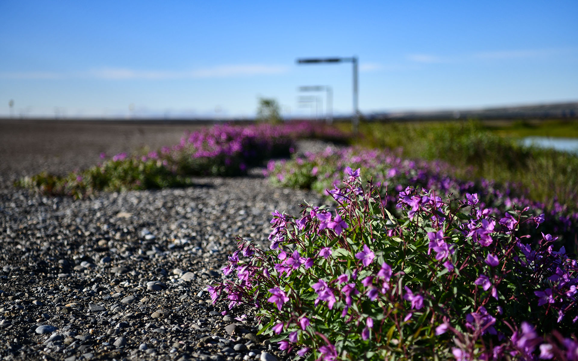 2022.07_Franklin-Bluffs_Dalton-Highway_Alaska_USA_09