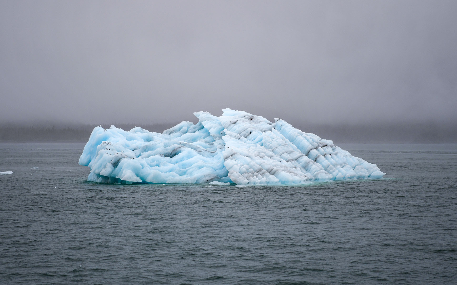 2022.07_Icebergs_Columbia-Glacier_Prince-William-Sound_Alaska_USA_04