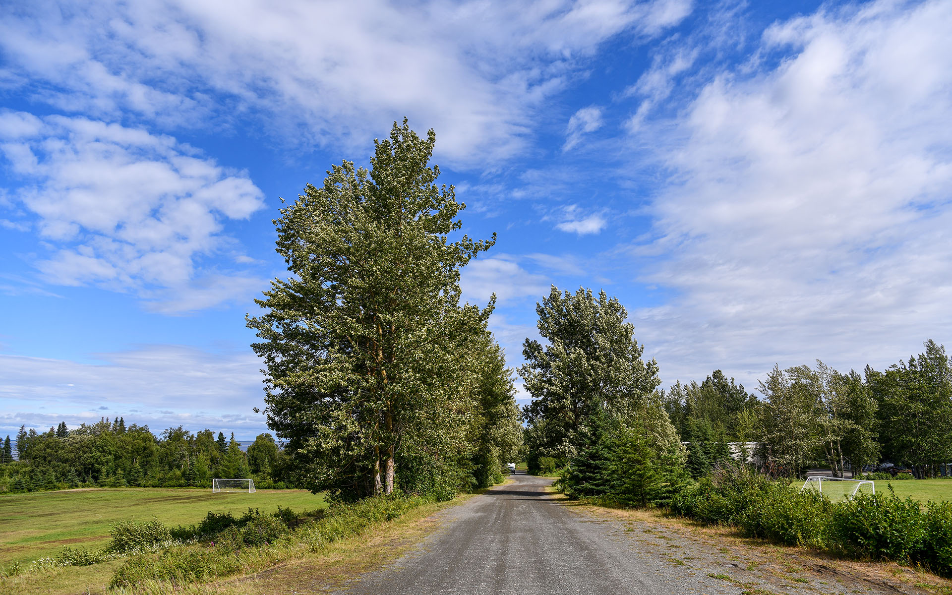 2022.07_Kincaid-Park_Anchorage_Alaska_USA_06