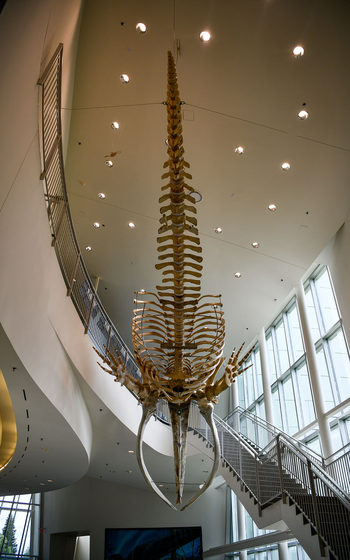 2022.07_Museum-of-the-North_Fairbanks_Alaska_USA_03