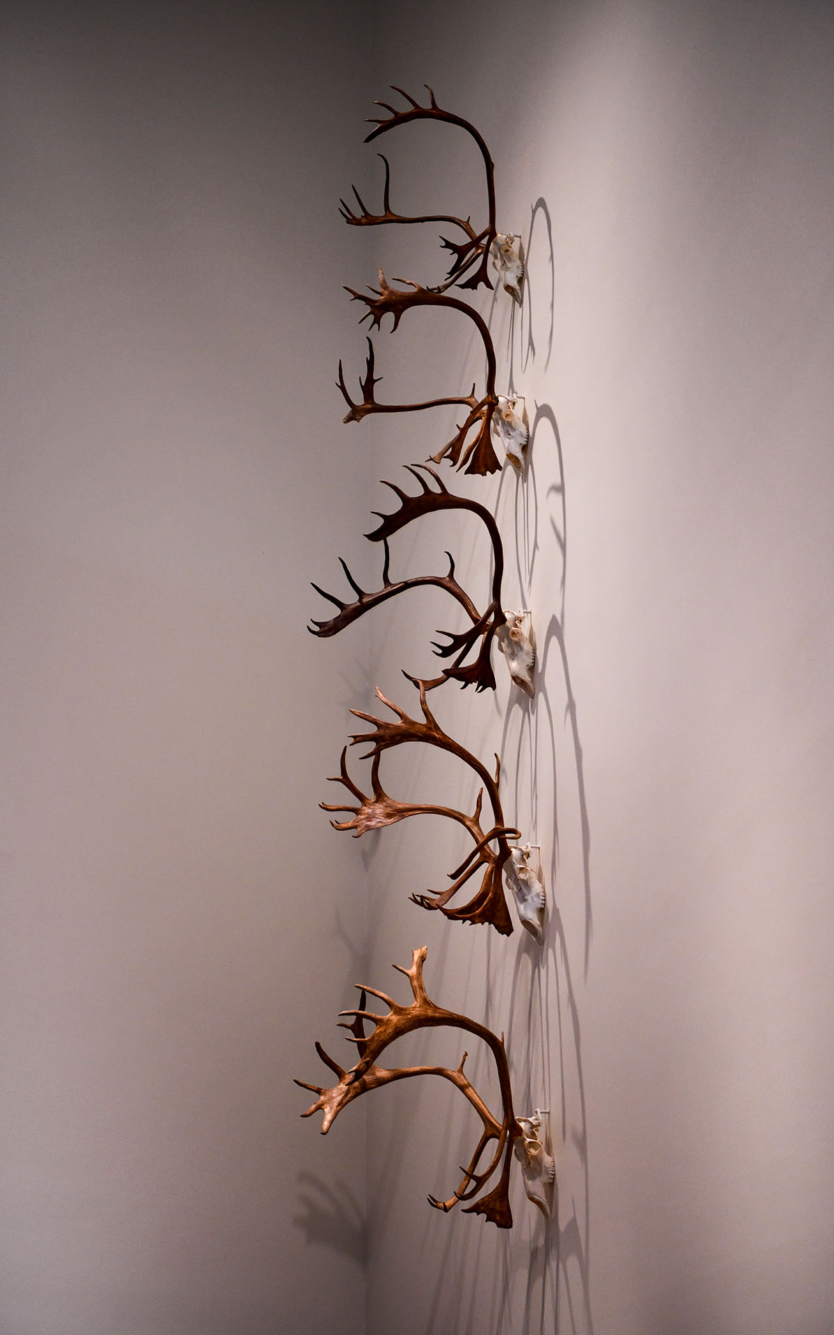 2022.07_Museum-of-the-North_Fairbanks_Alaska_USA_04