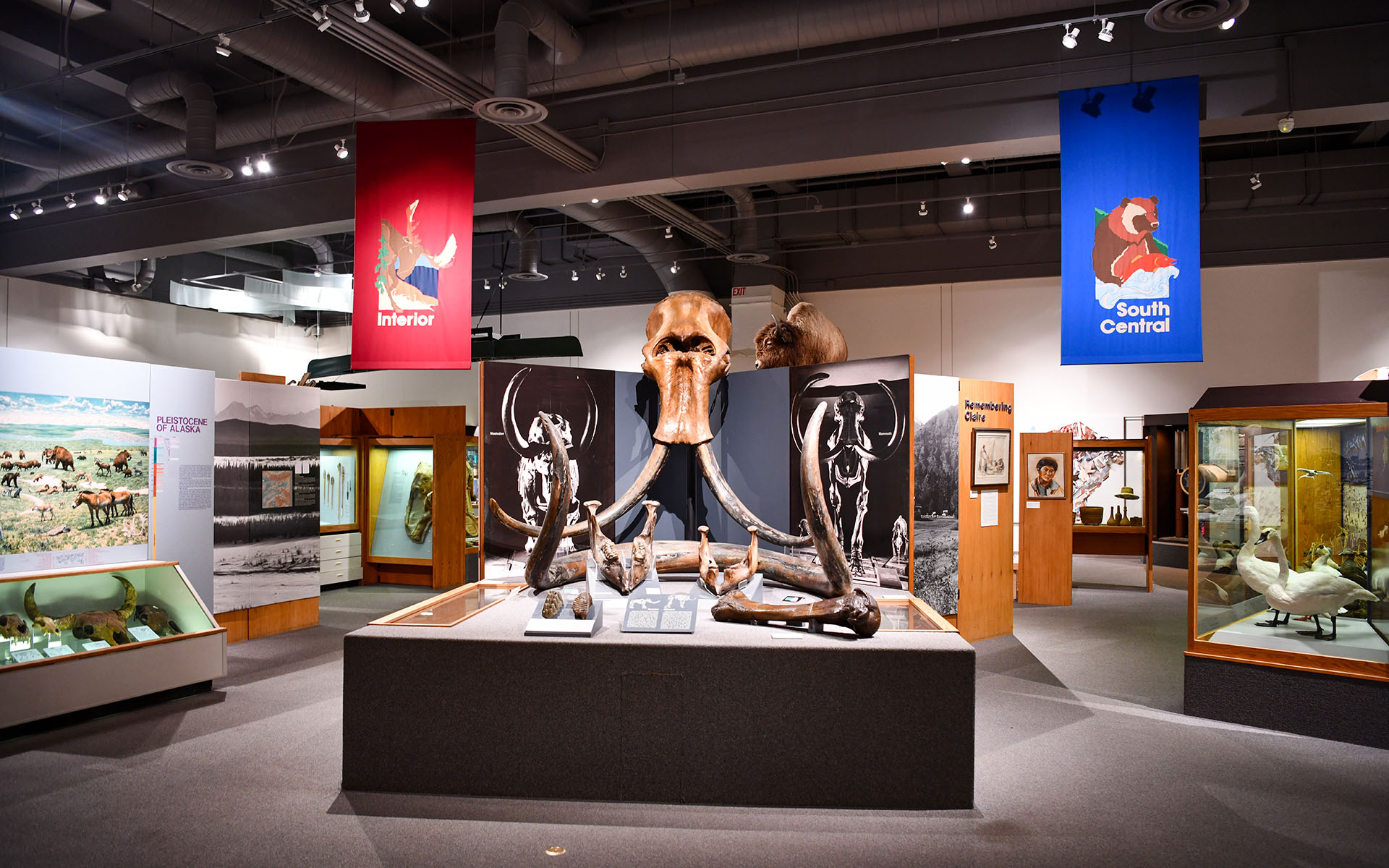 2022.07_Museum-of-the-North_Fairbanks_Alaska_USA_06