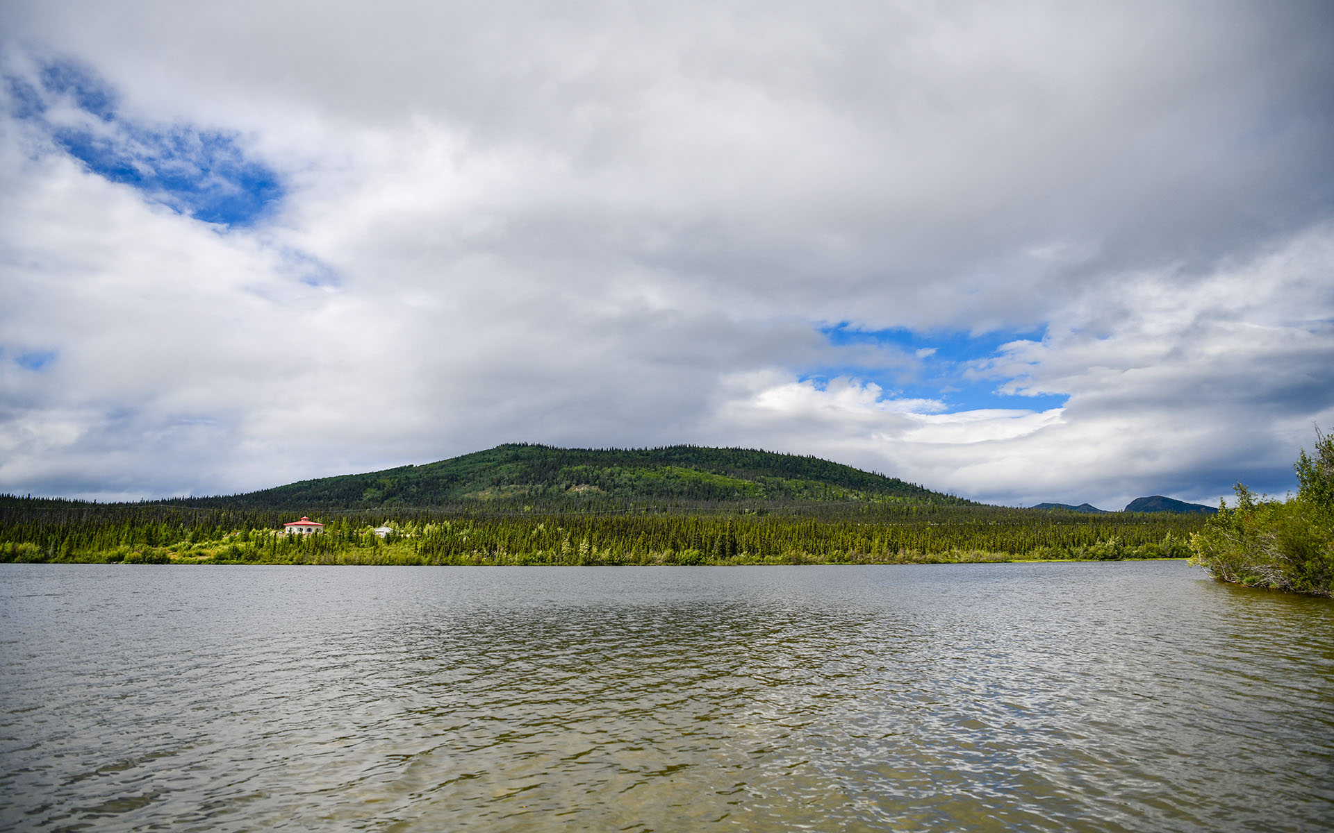 2022.07_Pippin-Lake_Copper-Center_Alaska_USA_05