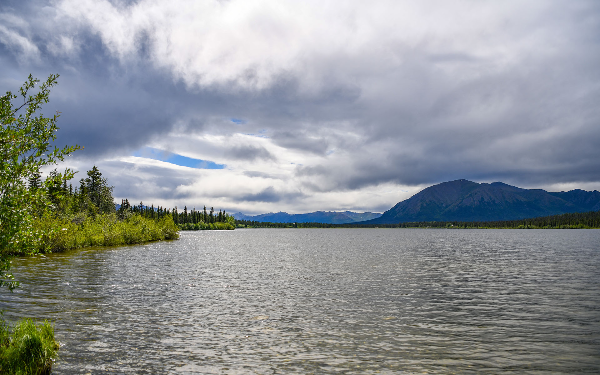 2022.07_Pippin-Lake_Copper-Center_Alaska_USA_08