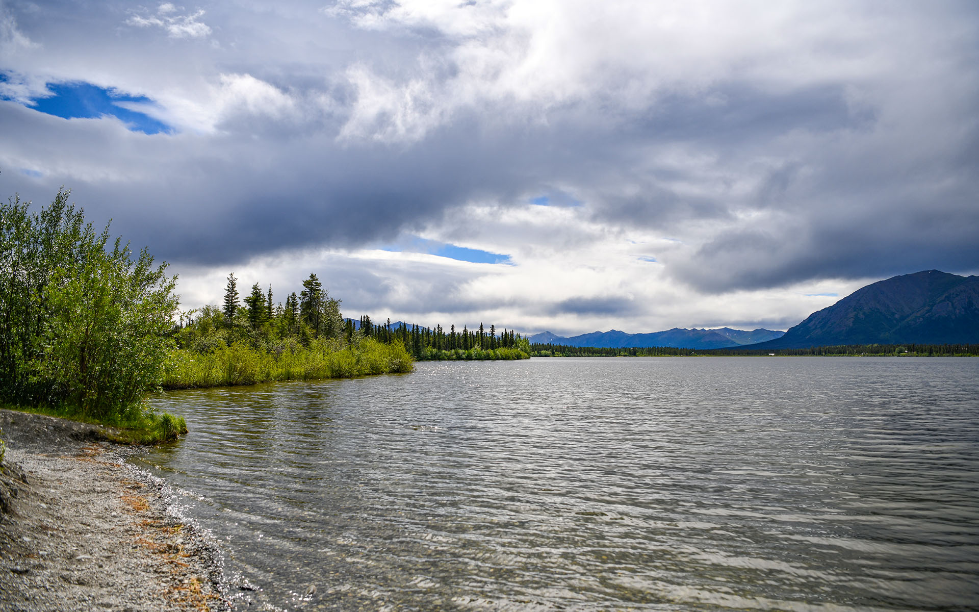 2022.07_Pippin-Lake_Copper-Center_Alaska_USA_09