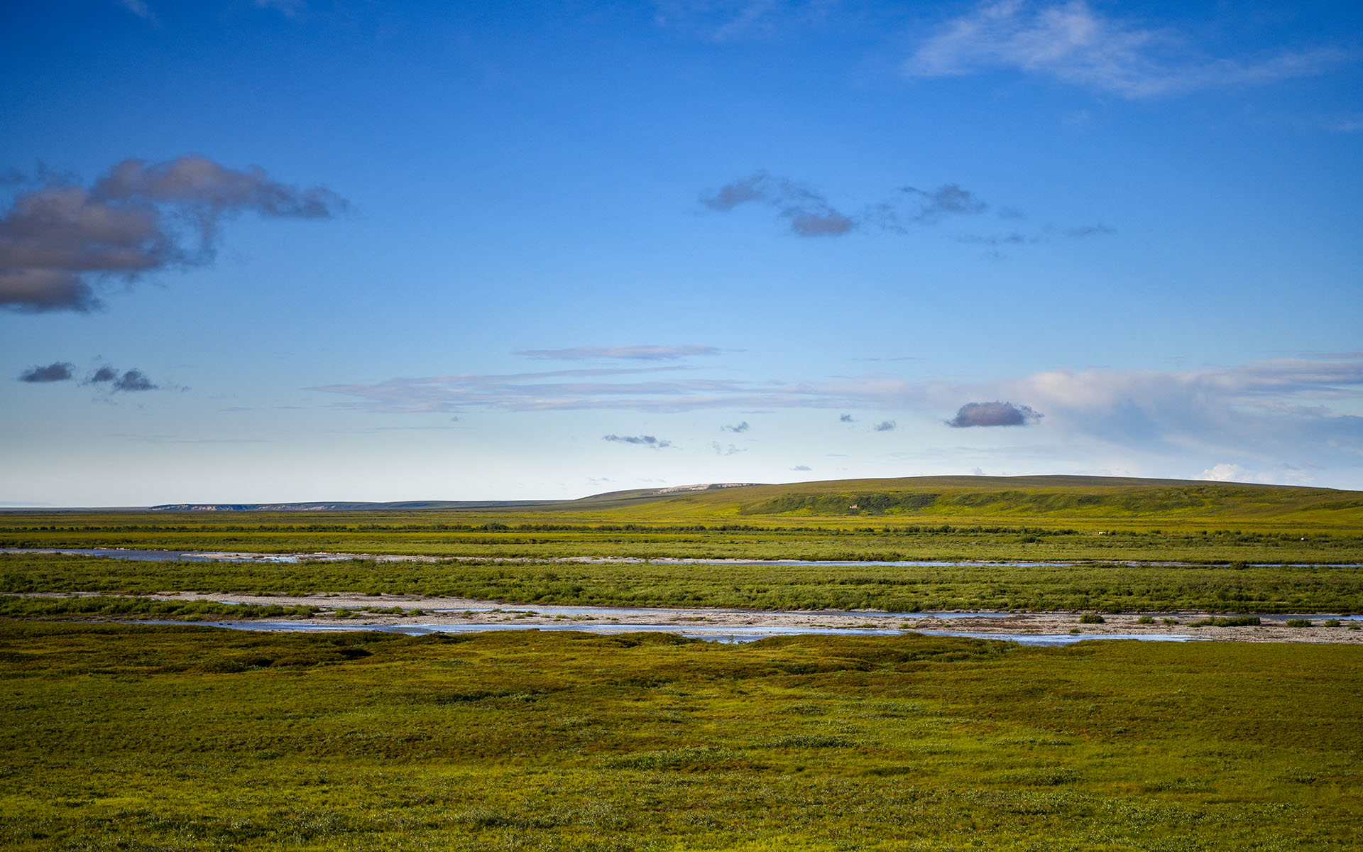2022.07_Sag-River-Overlook_Dalton-Highway_Alaska_USA_05