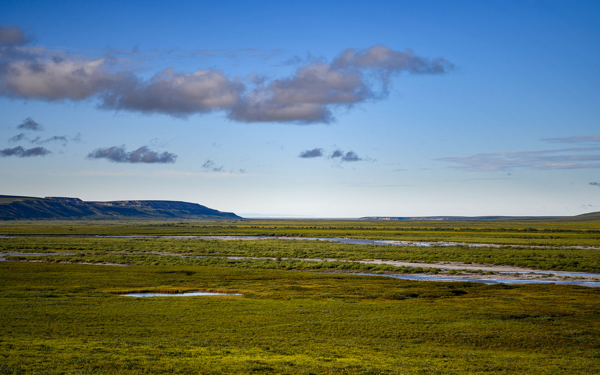 2022.07_Sag-River-Overlook_Dalton-Highway_Alaska_USA_06