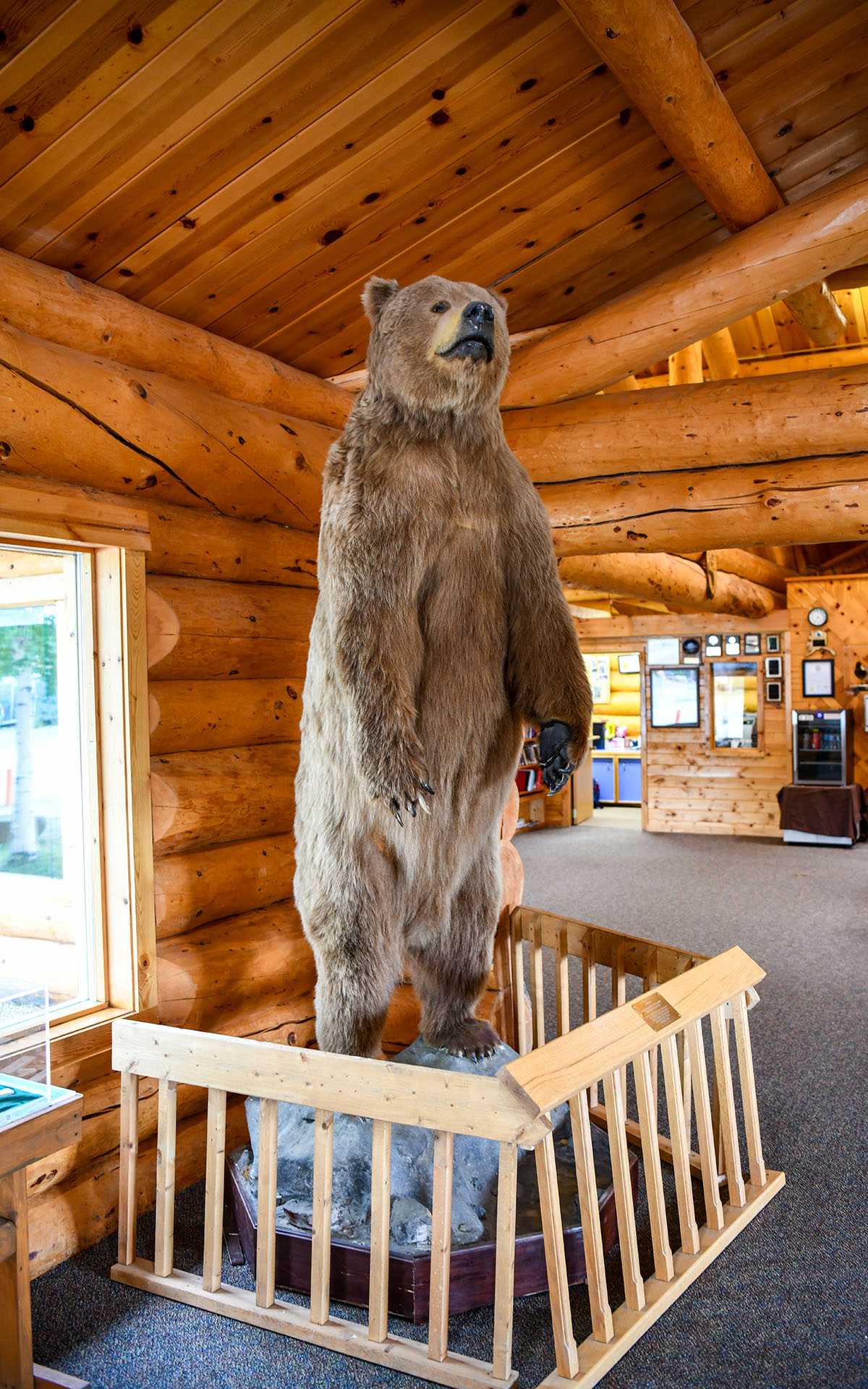 2022.07_Visitor-Center_Tok_Alaska_USA_09