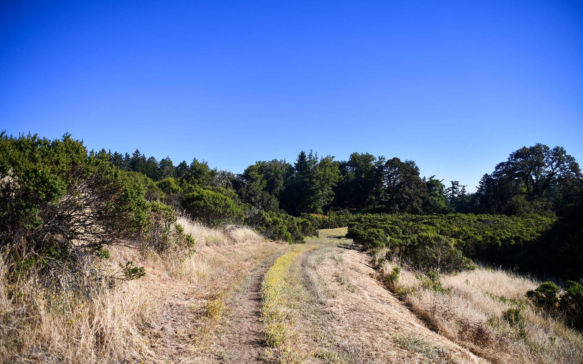 2022.08_Russian-Ridge-Open-Space-Preserve_Redwood-City_California_USA_01