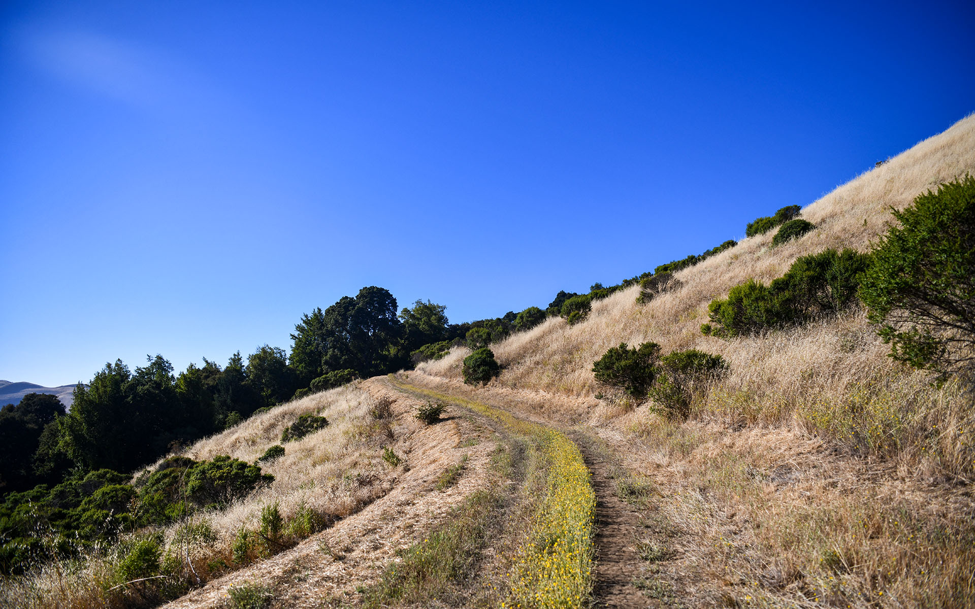 2022.08_Russian-Ridge-Open-Space-Preserve_Redwood-City_California_USA_02