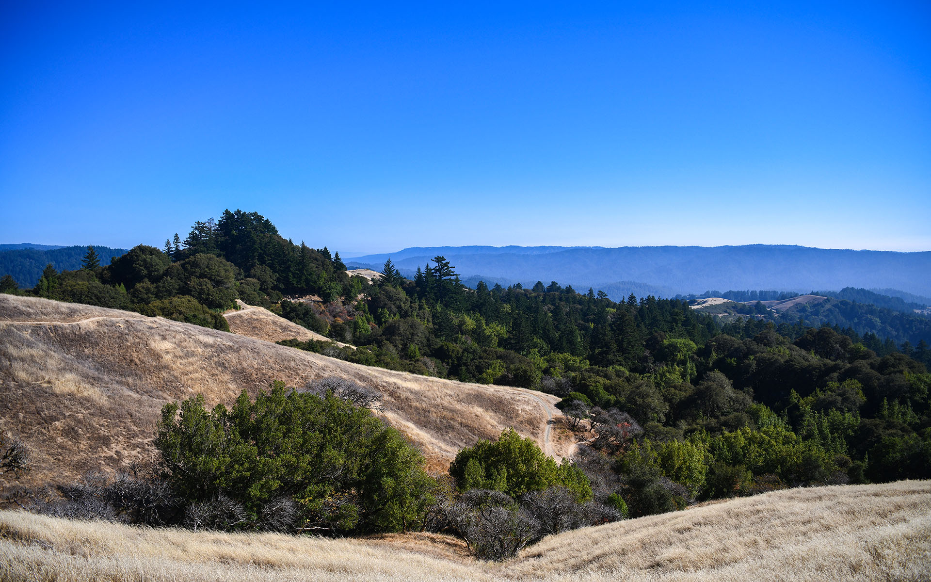 2022.08_Russian-Ridge-Open-Space-Preserve_Redwood-City_California_USA_03